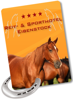 Reit- & Sporthotel Eibenstock